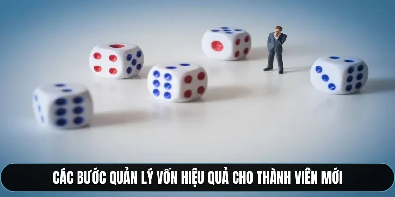 C&aacute;c bước quản l&yacute; vốn hiệu quả cho th&agrave;nh vi&ecirc;n mới